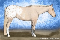 Horse Color:Gold Champagne Varnish 
