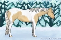 Horse Color:Silver Buckskin Dun Tobiano 