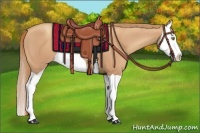 Horse Color:Gold Champagne Splash