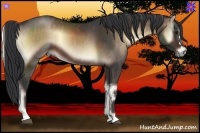 Horse Color:Brown Onyx Brindle