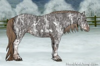 Horse Color:White Spotted Liver Chestnut Ice Sabino Rabicano 