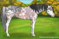 Horse Color:Brown Ice Sabino 