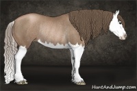 Horse Color:Black Pearl Splash Rabicano 