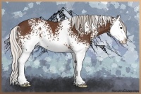 Horse Color:White Spotted Silver Brown Splash 