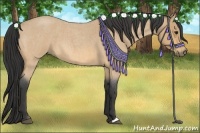 Horse Color:Buckskin Roan 