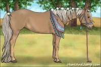 Horse Color:Palomino 