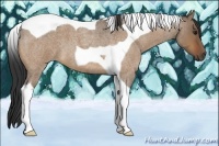 Horse Color:Bay Roan Dun Tobiano