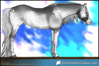Horse Color:White Spotted Silver Blue Onyx Chinchilla Sabino 