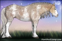 Horse Color:White Spotted Silver Bay Ice Splash