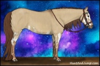 Horse Color:Red Dun Splash  Brindle
