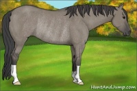 Horse Color:Smoky Grullo Rabicano
