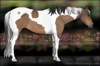 Horse Color:Buckskin Tobiano 