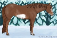Horse Color:Chestnut Sabino Frame Rabicano 