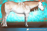 Horse Color:Red Onyx Pearl Splash and Red Onyx Pearl Splash