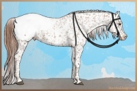 Horse Color:Chestnut Appaloosa