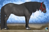 Horse Color:Black Rabicano 