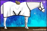 Horse Color:Cremello Splash Appaloosa 
