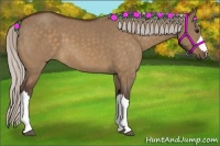 Horse Color:Silver Bay Dun 