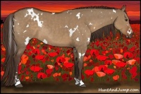 Horse Color:White Spotted Liver Red Dun Rabicano 