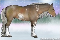 Horse Color:White Spotted Liver Chestnut Sabino 