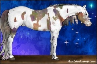 Horse Color:Nacre Buckskin Sabino and Nacre Buckskin Sabino