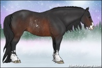 Horse Color:Brown Sabino Rabicano