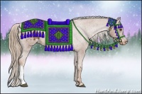 Horse Color:Chestnut Appaloosa