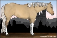Horse Color:Silver Buckskin Dun Tobiano 