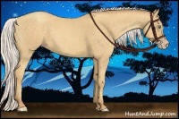 Horse Color:Silver Sable Cream Champagne 