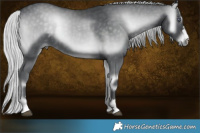 Horse Color:Silver Blue Onyx Chinchilla  Brindle
