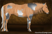 Horse Color:Silver Blue Onyx Chinchilla Brindle