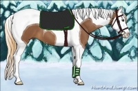 Horse Color:Chestnut Splash Tobiano 