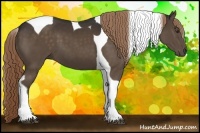 Horse Color:Liver Chestnut Tobiano 