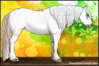 Horse Color:White Spotted Liver Chestnut Frame Rabicano