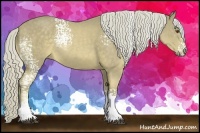 Horse Color:White Spotted Palomino Rabicano