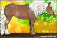 Horse Color:White Spotted Chestnut Rabicano 