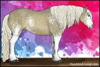 Horse Color:White Spotted Chocolate Palomino Rabicano 