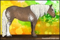 Horse Color:White Spotted Liver Chestnut