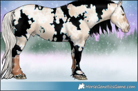 Horse Color:White Spotted Silver Brown Ice Pearl Dun 
