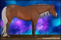 Horse Color:Silver Bay 
