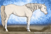 Horse Color:Perlino Sabino  Brindle