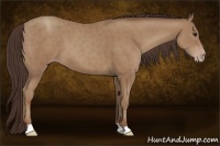 Horse Color:Classic Champagne 