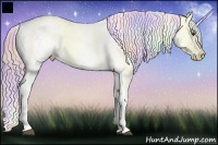 Horse Color:Nacre Watercolor Red Dun Splash Appaloosa