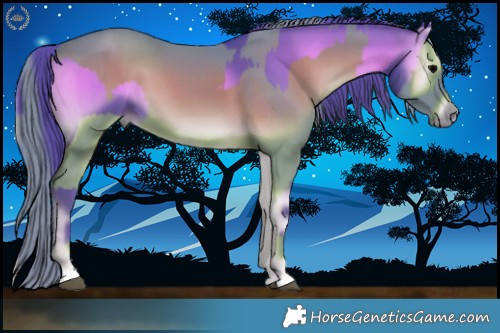 Horse Color:Watercolor Blue Onyx  and Watercolor Blue Onyx 