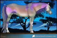 Horse Color:Watercolor Blue Onyx and Watercolor Blue Onyx