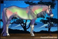 Horse Color:Watercolor Blue Onyx  and Watercolor Blue Onyx 