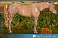 Horse Color:White Spotted Liver Chestnut Pearl Splash Brindle