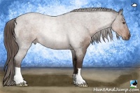 Horse Color:Liver Red Roan Rabicano 