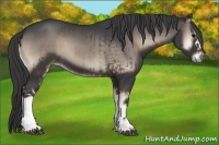 Horse Color:Blue Onyx  and Blue Onyx 
