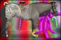 Horse Color:Smoky Grullo